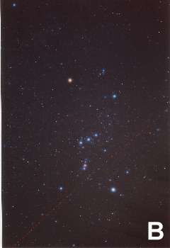 constellation d' Orion